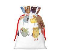 Owls Birds Christmas Canvas Gift Bag With Drawstring,Reusable Personalizedgift Bag