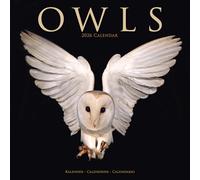 Owls Calendar 2026 | 12 Month Wall Calendar | Avonside Publishing | Plastic Free Packaging