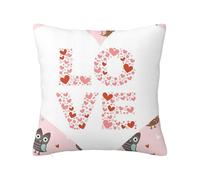 Owls Decorative Square Throw Pillow Covers,Owls Love Hearts Married,Super Soft Pillowcase for Living Room Bedroom Sofa Couch Cushion Cover,Pink White 24 x 24 inch