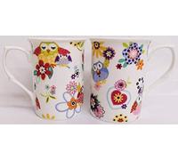 Owls Flowers Hearts Mugs Set of 2 Fine Bone China Multicolour Gorgeous Owls Collage Cups Hand Decorated in UK