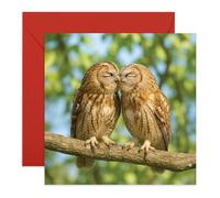Owls in Love Card - Cute Animal Couple Kissing - Romantic Greeting Card for Anniversary, Valentine’s Day for Husband, Wife, Boyfriend, Girlfriend, Spouse, Partner, Fiance - Comes with Stickers