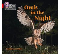 Owls in the Night – Band 02B/Red B (Collins Big Cat Phonics for Letters and Sounds)