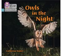 Owls in the Night