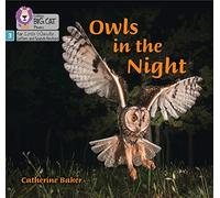 Owls in the Night: Phase 3 Set 2 (Big Cat Phonics for Little Wandle Letters and Sounds Revised)