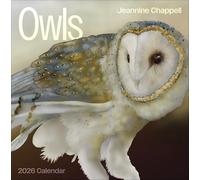 Pomegranate Wall Calendar Owls: Jeannine Chappell 2026