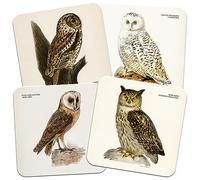 Owls, Natural History Collection 95mm Square Cork Backed Coaster Set of 4
