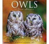 Owls of North America 2027 Wall