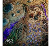 OWLS - RARE BIRDS [VINYL]