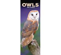 Avonside Publishing Slimline Wall Calendar Owls Slim 2026 Plastic-Free Packaging