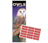 Owls Slim Calendar 2026 | Slimline 12 Month Wall Calendar | January 2026 To December 2026 | Birds Animal Calendar | With Free Organisational Stickers