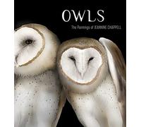 Owls: The Paintings of Jeannine Chappell