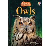 Owls (Usborne Beginners)
