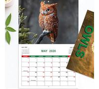 Owls Wall Calendar 2026 - Monthly Planner 2026 Calendar Planner - Decorative Time Management Supplies Owls Themed For Office School Home Classroom
