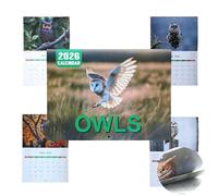 Owls Wall Calendar 2026 UK, Funny Cute Family Planning Calendars, Creative Hanging Monthly Planner To-do List Household Supplies for Bird Owl Lover