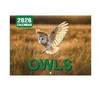 Owls WWF 2025 Wall Calendar Krg552 (Khaki, 28.5x21cm)