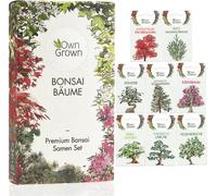 Own Grown Bonsai Seeds - 8 Seed Set - 1 Set