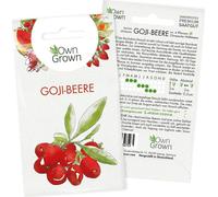 Own Grown Goji Berry Seeds - 1 Pkg