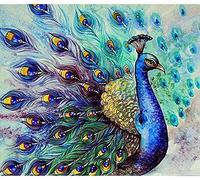 OWN4B Cross Stitch Kits Stamped, Beautiful Blue Peacock Birds Animals Pre Printed Pattern 11CT 14.2x18.1 inch DIY Embroidery Kit (Peacock)