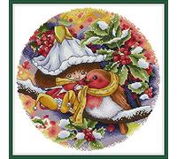 OWN4B Cross Stitch Kits Stamped, Flower Fairy Printed Pattern 11CT 17.3x17.3 inch DIY Embroidery Kit