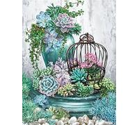OWN4B Cross Stitch Kits Stamped, Succulents Plants and Cage Printed Pattern 11CT 14.2x18.1 inch DIY Embroidery Kit (Succulents)