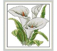 OWN4B Cross Stitch Kits Stamped, The Flower of Happiness Printed Pattern 11CT 8.3x8.3 inch DIY Embroidery Kit