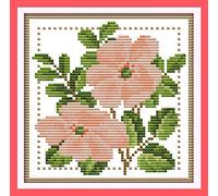OWN4B Cross Stitch Kits Stamped, Twelve Months Flower-June Printed Pattern 11CT 8.3x8.3 inch DIY Embroidery Kit