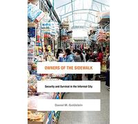 Owners of the Sidewalk: Security and Survival in the Informal City (Global Insecurities)