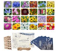OwnGrown Flower Seeds Advent Calendar for 2025-24 Varieties of Wild Flower Plant Seeds DIY Kit - Garden Gift Decorations - Housewarming Gardening Gifts for Men and Women - Wildflower Organic Seeds