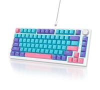 Owpkeenthy 75% Gasket Mounted Mechanical Gaming Keyboard Hot Swappable, Wired 82 Keys Knob RGB Keyboard with Red Switch PBT Keycaps for Win MAC (Joker)