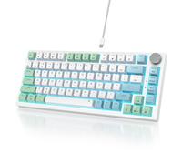 Owpkeenthy Wired 75% Hot Swappable Mechanical Keyboard, Gasket Mounted TKL 82 Key Gaming Keyboard Linear Red Switch RGB Backlit with Volume Knob, for PC Laptop (82 Mint)