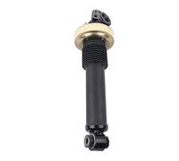OWYTNRCJ Shock Absorber Compatible for Citroen Hydrative C5 III C6 Front Right 5271L6 5271.L6 AP02