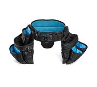 OX TOOLS Pro Dynamic Nylon Framer's Rig with Padded Back Support - Framer Pouch, Fastener Pouch & Hammer Holder