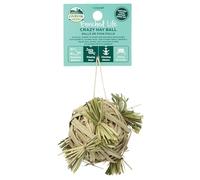 Oxbow Enriched Life Crazy Hay Ball for Small Animals
