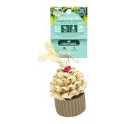 Oxbow Small Animal Chew Toy - Celebration Cupcake