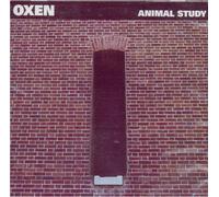 Oxen - Animal Study (UK Import)