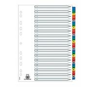 Oxford 31-Piece Polypropylene Dividers DIN A4 with Numbers 1-31 / Dividers 1-31 / Dividers for Office Folder Organisation