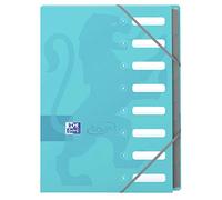 Oxford 400084077 Touch Expandable File A4 8 Positions Card Random Color