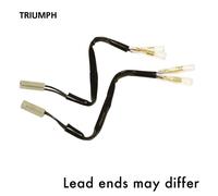 Oxford Indicator Leads Triumph