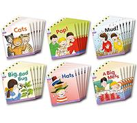 Oxford Reading Tree: Level 1+: Floppy's Phonics Fiction: Class Pack of 36