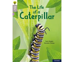 Oxford Reading Tree Word Sparks: Level 1: The Life of a Caterpillar