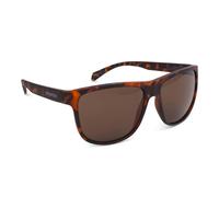 Oxford Sahara Tortoise Shell Frame Brown Lens Sunglasses