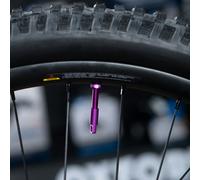 Oxford Tubeless Alloy Valve 48mm or 60mm Various Colours PAIR of Valves - Red - 60mm