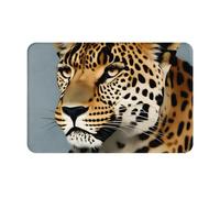 OXKGHHO Animal Leopard Print Ultra Thin Door Mat,Indoor Outdoor Entrance Rug,Welcome Mat for Door,Patio Home Decor