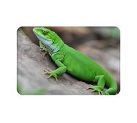 OXKGHHO Green Lizard Print Ultra Thin Door Mat,Indoor Outdoor Entrance Rug,Welcome Mat for Door,Patio Home Decor