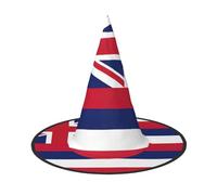 OXKGHHO Hawaii Flag Print Vintage Witch Hat,Unique Witch Accessories For Women,For Halloween Costumes And Decor