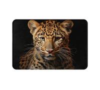 OXKGHHO Leopard Print Print Ultra Thin Door Mat,Indoor Outdoor Entrance Rug,Welcome Mat for Door,Patio Home Decor