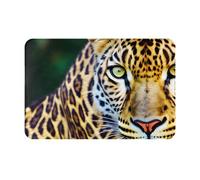 OXKGHHO Yellow Leopard Print Print Ultra Thin Door Mat,Indoor Outdoor Entrance Rug,Welcome Mat for Door,Patio Home Decor