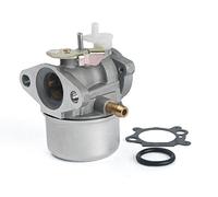 OxoxO Replace New Carburetor Carb for Briggs & Stratton 799869 792253 with Gasket