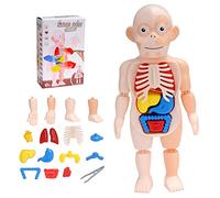 Oxtxuzdm 1Set Kid’s Education Block Puzzle Learning Toy Anatomy Game Board Miniature Human Body Organ Model Toy Science Toys For Preschool Science Toys For Classroom