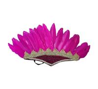 Oxtxuzdm Ethnic Indian Feather Headband Role Play Costume Accessorie Hairband Carnivals Celebration Headdress FatTuesday Headwear Stage Costume